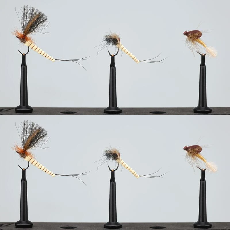 MOUCHES SECHES HRK7 X6 3 MOUCHES SECHES HRK7 X6