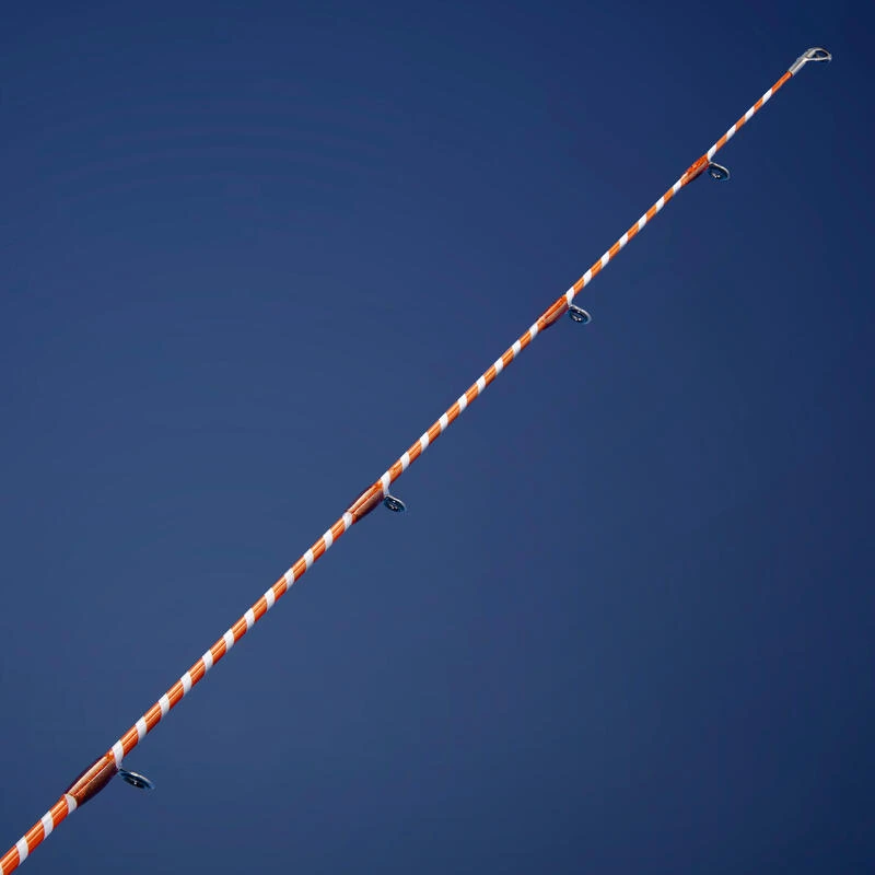 SAV Scion De Rechange Pêche Au Posé Léger SEACOAST LIGHT 500 300 HYBRID 3 SAV Scion De Rechange Pêche Au Posé Léger SEACOAST LIGHT 500 300 HYBRID